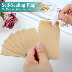 180pcs Small Seed Saving Envelopes Bulk 2.35 X 3.5 Empty Paper Packets for Coins