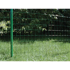 3 Ft. X 50 Ft. Galvanized Steel Green PVC Coated Welded Wire