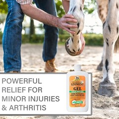 Absorbine Veterinary Liniment Gel 12 oz Topical Analgesic Muscle & Joint Relief