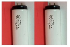2-PK F14T12/CW 14W 4100K FLUORESCENT LIGHT BULB Cool White F14 T12 NEW 259168