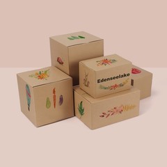 40 Pack 6x6x6 inches Shipping Boxes Small Cardboard Boxes for Packing Moving …