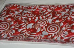 100 CANDY CANE DESIGNER 6 x 9 POLY MAILER BAGS MAILING PLASTIC ENVELOPES
