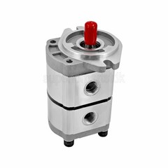 NEW Hydraulic Pump Double Acting Two Section for AGT-H15R Mini Excavators