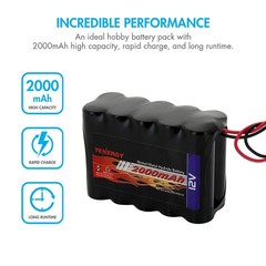 Tenergy NiMH Battery Pack 12V 2000mAh High Capacity 1 Count (Pack of 1)