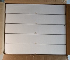 200uL Universal Sterile Racked Pipette Tips, 960pcs/box, 4800pcs/case