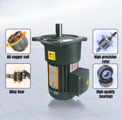 Three-Phase CW/CCW Reduction Gear Motor Adjustable Speed AC 380V 400W 28mm New