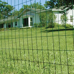 3 Ft. X 50 Ft. Galvanized Steel Green PVC Coated Welded Wire