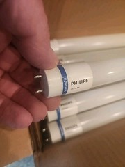 (Case of 10) Philips 7-Watt T8 LED Bulbs G13 7T8/MAS/24-840/IF11/P/DIM 10/1 24″