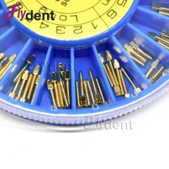120pcs Dental Endodontic Conical Golden Stainless Steel Screw Post Drills 2 Keys