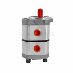 NEW Hydraulic Pump Double Acting Two Section for AGT-H15R Mini Excavators