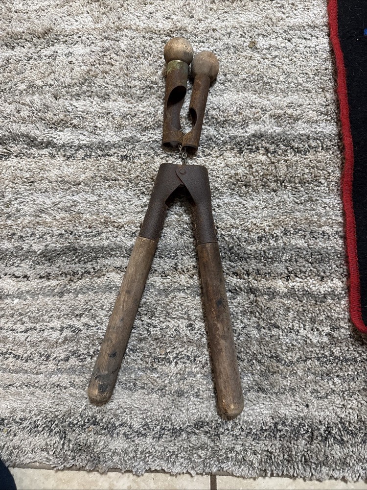 Vintage Cattle Calf Dehorner Horn Removing Tool Unsure What It Is