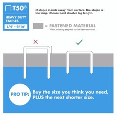 Arrow 508 Heavy Duty T50 1/2-Inch Leg Length, 3/8-Inch Crown, Staples for