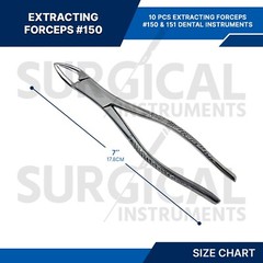 10 Pcs Extracting Forceps #150 & 151 Dental Instruments Stainless German Grade