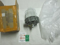 New Explosion Proof LED White Light 100W 220V IP66