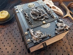 Book of Shadow Witch Grimoire Journal Blank Witchcraft Raven 8×6 in 600 Pages