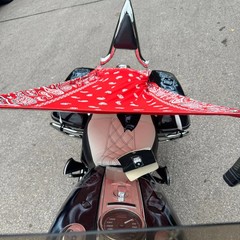 THIGHBRUSH® – ROJA – Water Repellent Motorcycle Cover and Sunshade