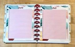 Set of 6 (Six) Month at a Glance Dashboard Inserts for use with Happy Planner-