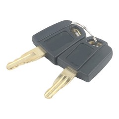 2PCS Ignition Keys 5P8500 5P-8500 Fits For Caterpillar Heavy Equipment