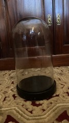 Victorian style large glass display dome made in France.